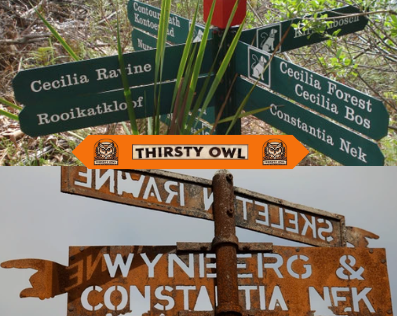 All paths lead to the Thirsty Owl